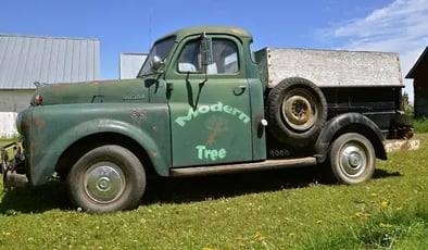 How To Build A Tree Service Brand