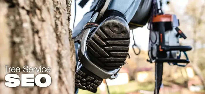 SEO For Tree Services