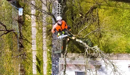 Set Your Professional Tree Removal Business Apart From The Competition