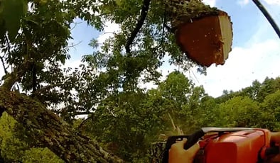 good tree service leads vs bad tree service leads