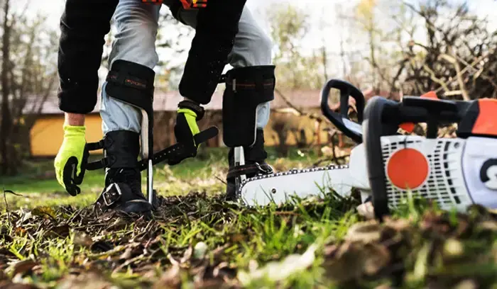 10 Ways to Market Your Tree Service