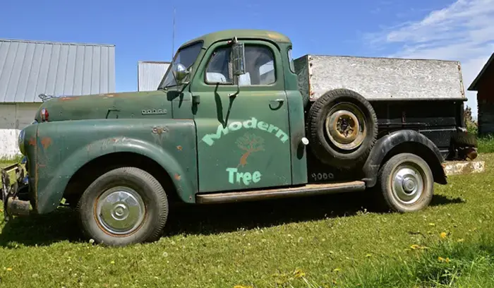 How To Build A Tree Service Brand