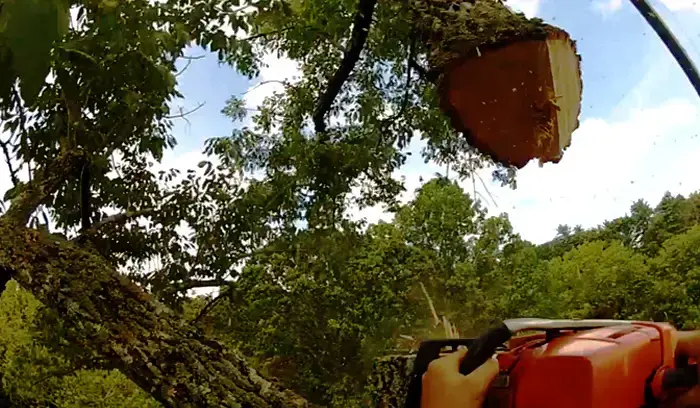 good tree service leads vs bad tree service leads
